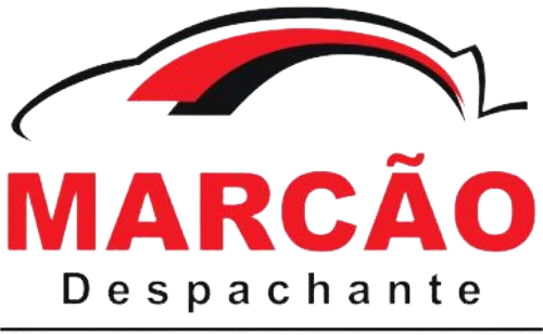 EMPLACADORA DE VEICULOS ESTER LTDA
